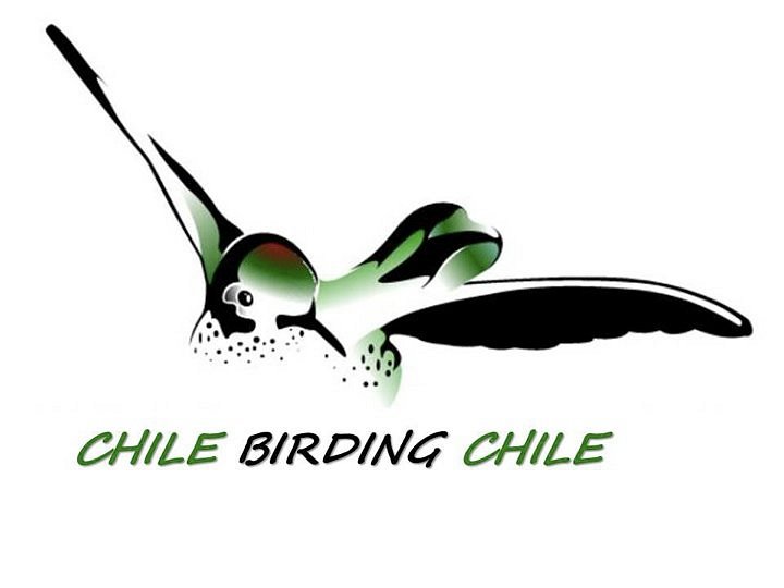 Chile Birding Chile image