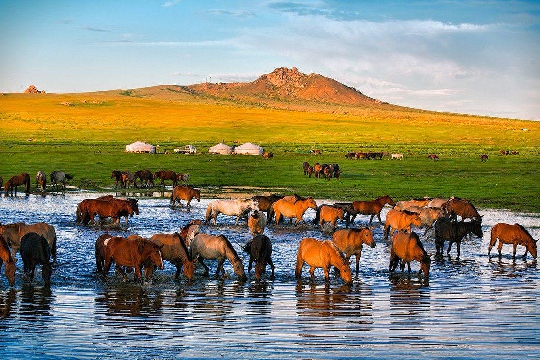 travel agency mongolia