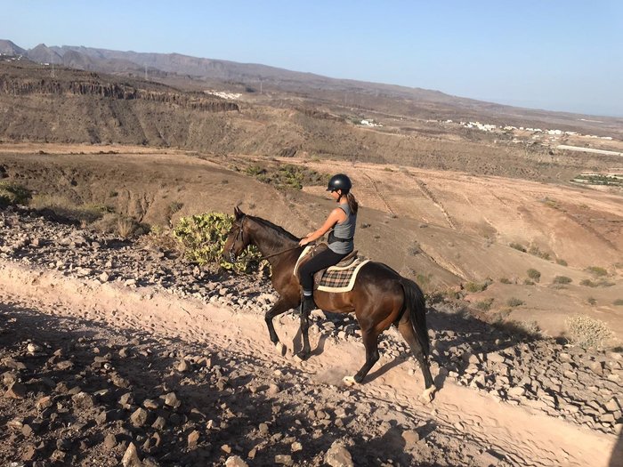 Imagen 10 de Rutas ecuestres El Salobre Horse Riding