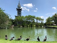 Mangal das garças - Belém - Pará, nilsonccb