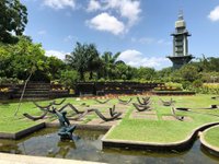 Mangal das garças - Belém - Pará, nilsonccb