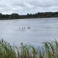 Big Waters