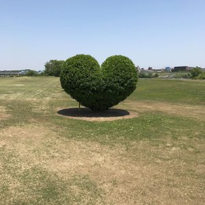 21年 川崎市で絶対外さないおすすめ観光スポットトップ10 定番から穴場まで トリップアドバイザー