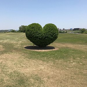 21年 川崎市で絶対外さないおすすめ観光スポットトップ10 定番から穴場まで トリップアドバイザー 21年 川崎市で絶対外さないおすすめ観光スポットトップ10 定番から穴場まで トリップアドバイザー