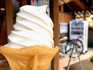 家族 / プレイ エリア