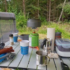 Breakfast at the edge of the forest