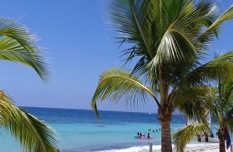 Plage Anse Figuier 