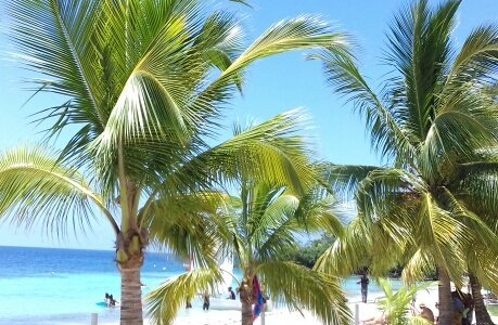 Plage Anse Figuier 
