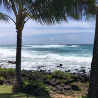 Kiahuna Beach (Kauai) - All You Need to Know BEFORE You Go