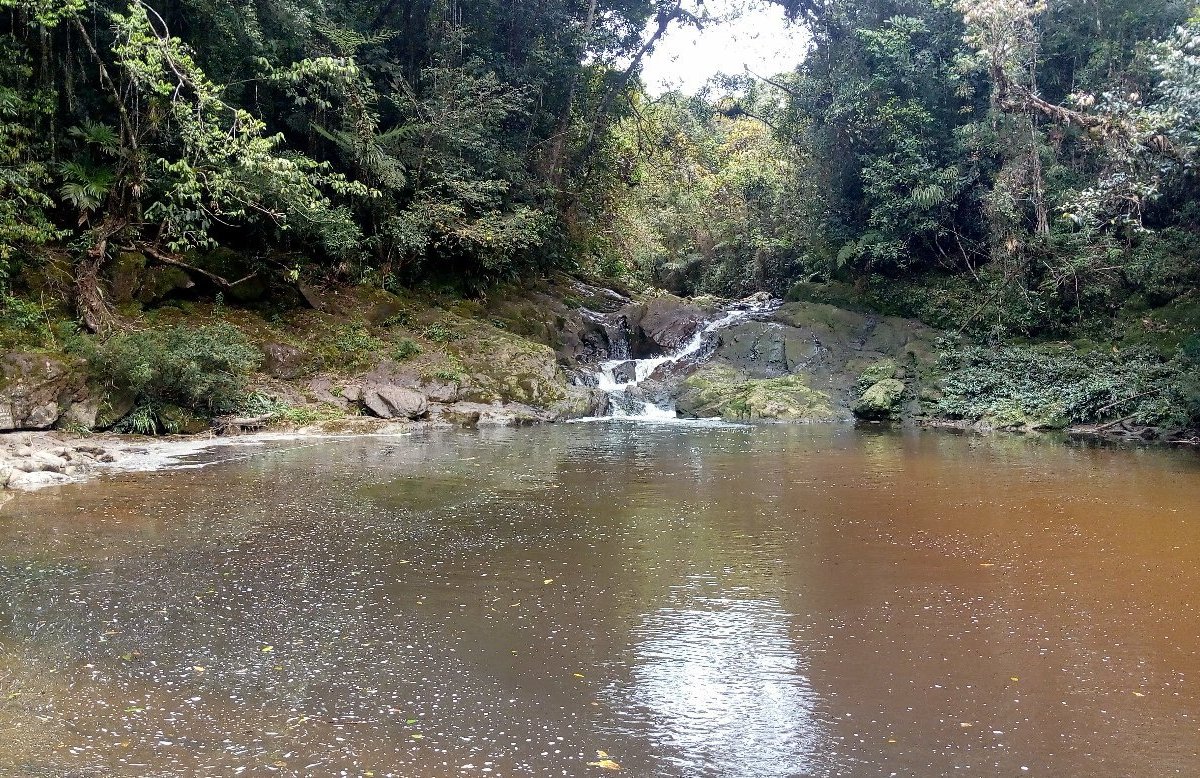 Cachoeira do Sagui (Sao Paulo) - All You Need to Know BEFORE You Go