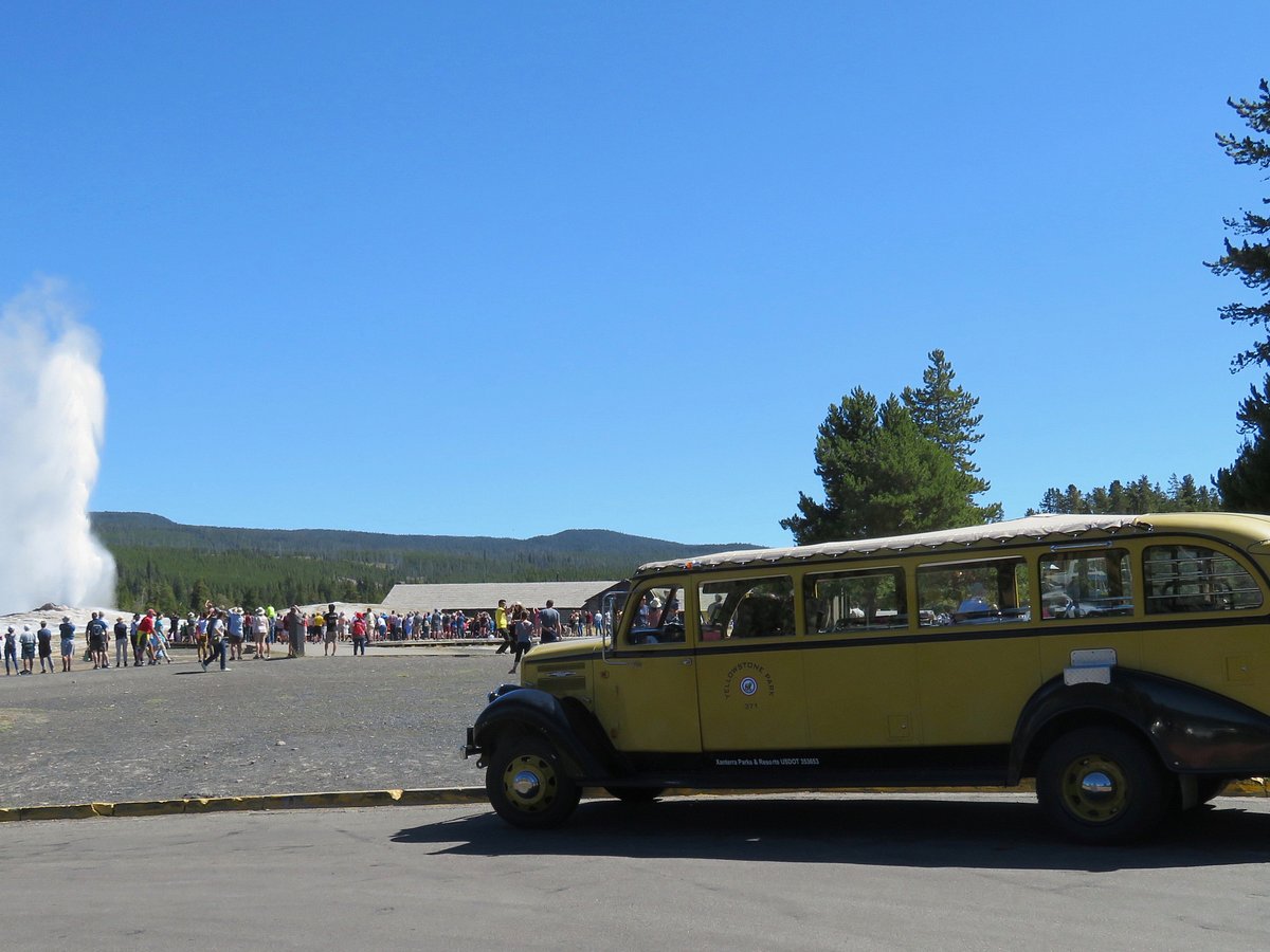 Summer Bus Tours - Book Yellowstone Guided Tours