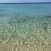 bellaema