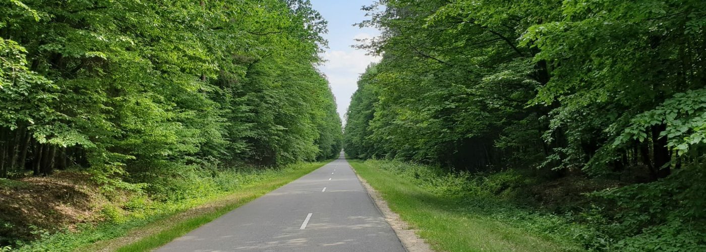 Belovezhskaya Pushha
