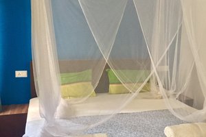 Room & Suite