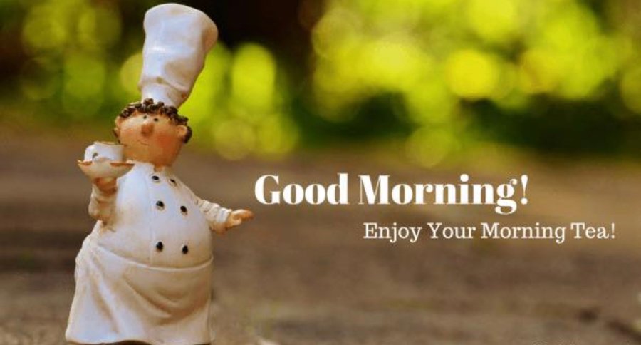 Good morning