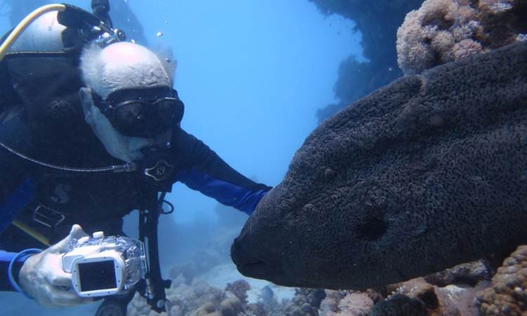 Египет центр дайвинга Red Sea