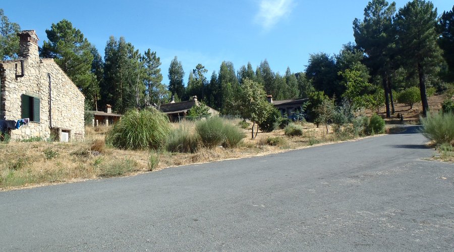 Pista central de la finca. Se aprecia la primera casa en primer término y la zona común y la casa número 4 en segundo plano
