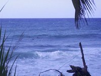 Rock Climbing in Puerto Hermina Beach (Quebradillas), Puerto