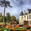 Things To Do in Chateau de Cange, Restaurants in Chateau de Cange