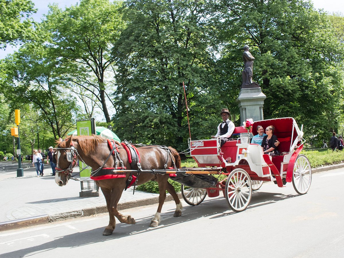 Central Park and NYC Horse Carriage Ride OFFICIAL ( ELITE Private) Since  1970™