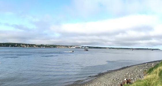 Naknek, AK 2023 Best Places to Visit Tripadvisor