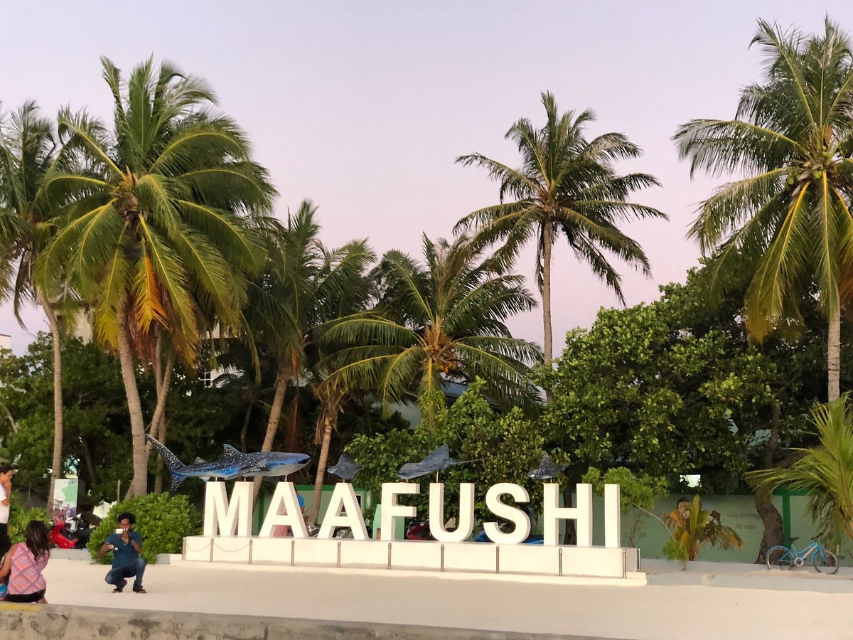 private island tour from maafushi