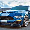 SHELBY GT500 Super Snake