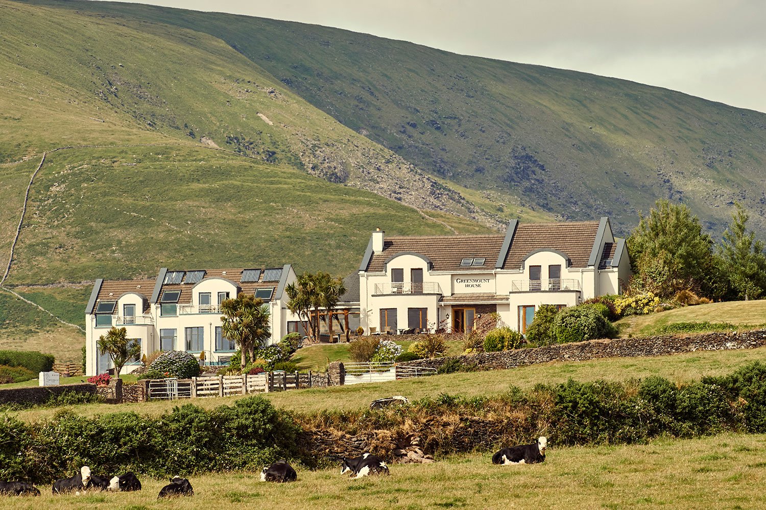 GREENMOUNT HOUSE (Dingle, Irlanda): Opiniones Y Precios