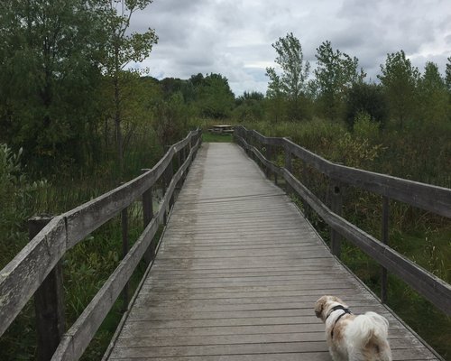 THE 10 BEST Wisconsin Hiking Trails (with Photos) - Tripadvisor