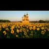 Тарас