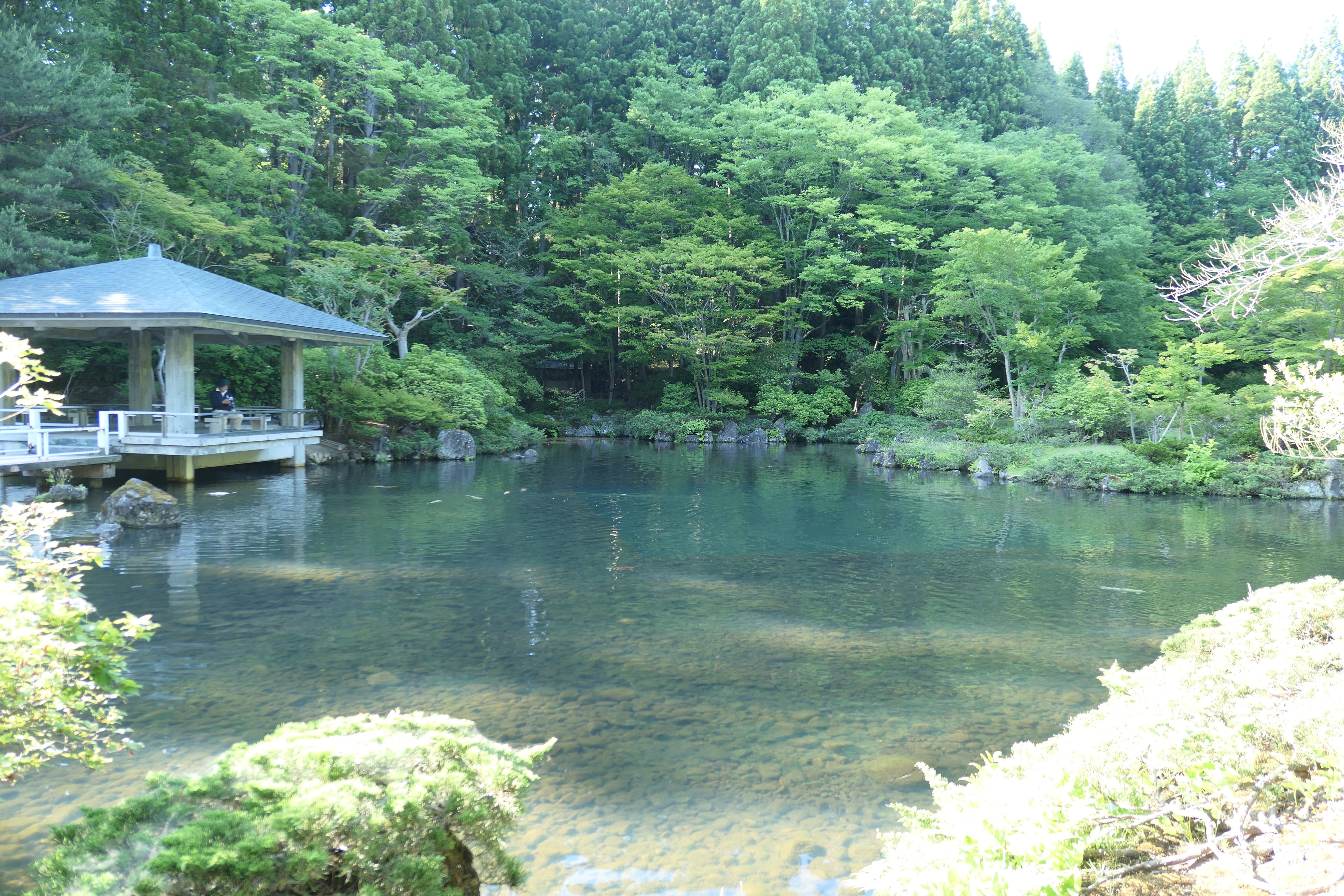Suishinen (2025) - All You Need to Know BEFORE You Go (with