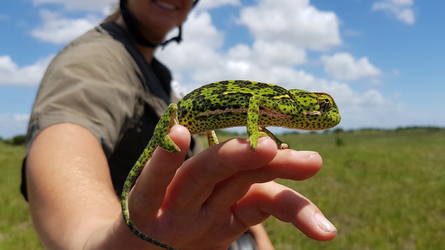Not all sightings are big, sometimes the smaller ones are just as amazing