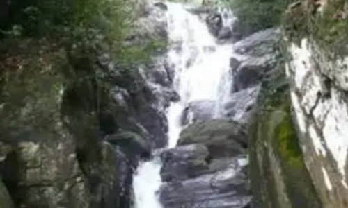 Doolie water Falls & Singharaja Rain Forest 