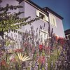 Villa Millefiori Mali Lošinj Croatia