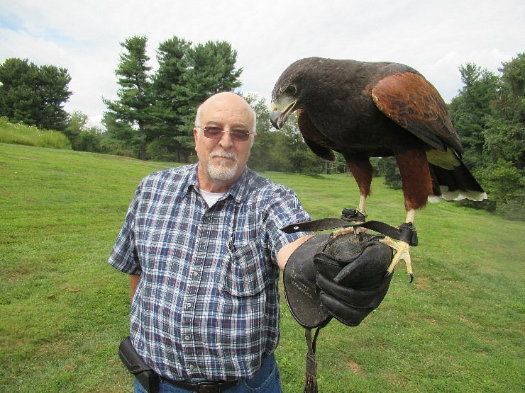 Brief foray into eagle aviary sees excitement build. - Elite Falconry