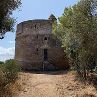 The tower