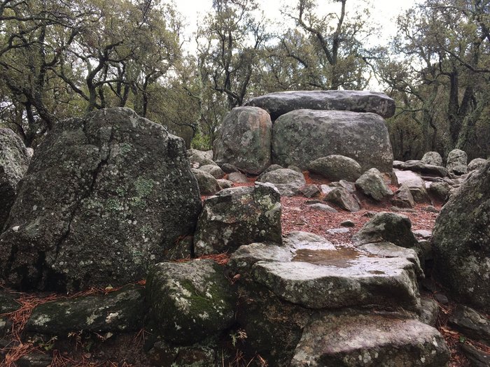 Imagen 10 de Cueva de Daina