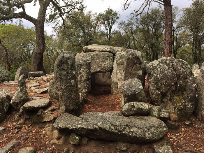 Imagen 9 de Cueva de Daina