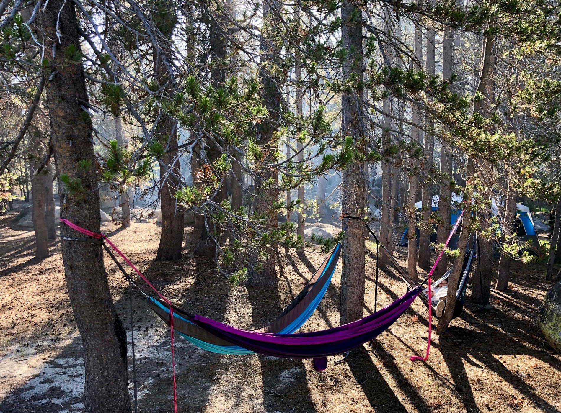 Bridalveil Creek Campground by null