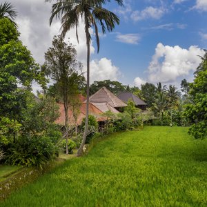 hotel ground