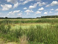 Eagle Marsh Nature Preserve Fort Wayne 2021 All You Need To Know Before You Go With Photos Tripadvisor