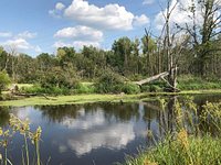 Eagle Marsh Nature Preserve Fort Wayne 2021 All You Need To Know Before You Go With Photos Tripadvisor