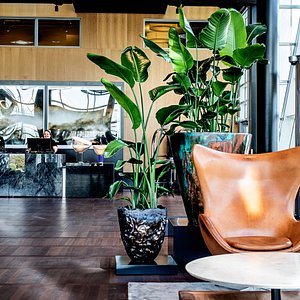 Clarion Hotel Copenhagen Airport in Kastrup, image may contain: Potted Plant, Planter, Pottery, Vase