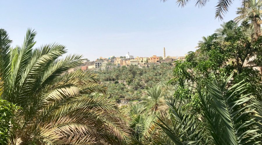 The view from the majlis