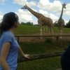 Kttravels24