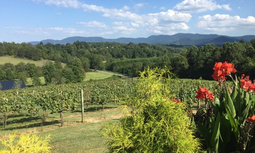 A view nearly as good as Sonoma County