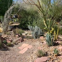 2023 Skip the Line: Springs Preserve in Las Vegas Admission Ticket