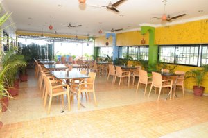 Golden Sun Inn in Pondicherry, image may contain: Restaurant, Indoors, Cafeteria, Plant