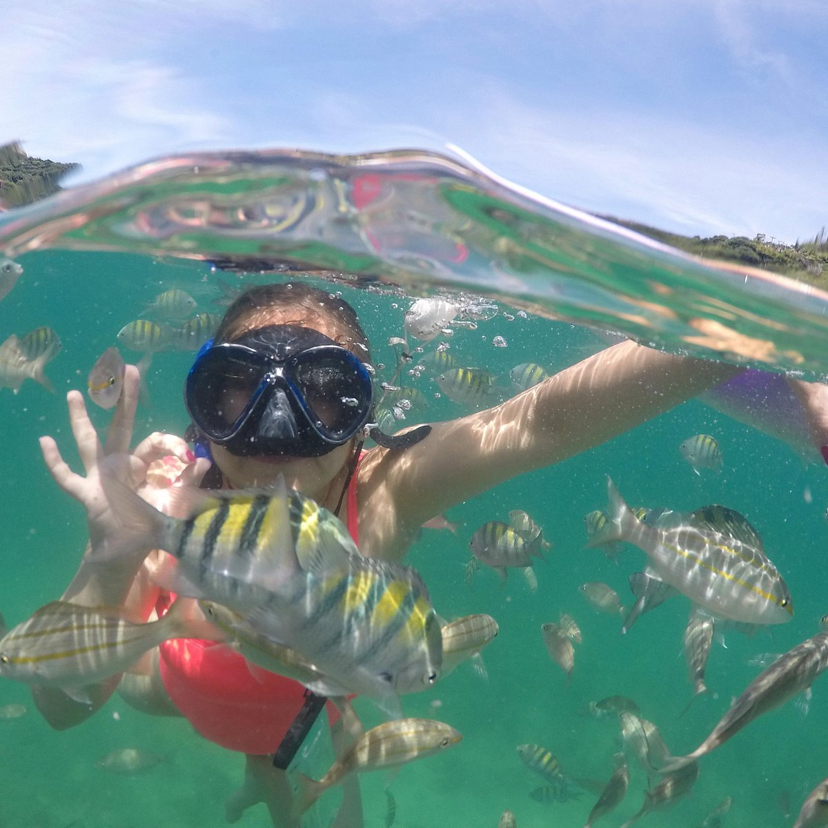 Free Diver Búzios 2022 Qué Saber Antes De Ir Lo Más Comentado Por La Gente Tripadvisor 8407