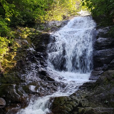 THE BEST Things to Do in Barnardsville - 2021 (with Photos) - Tripadvisor